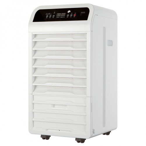 ��ǰ ������